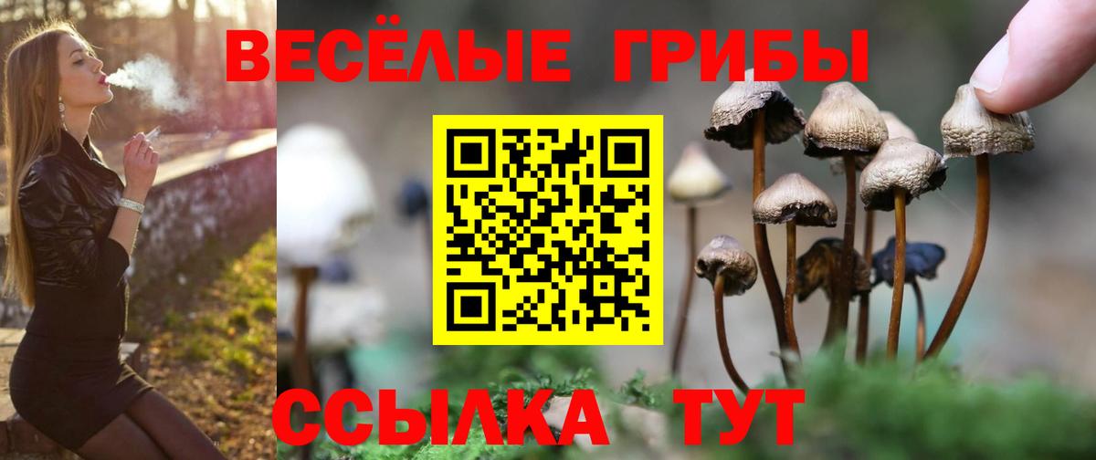 Галлюциногенные грибы Magic Shrooms Городец